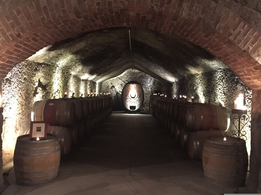 The Distortion Cellar